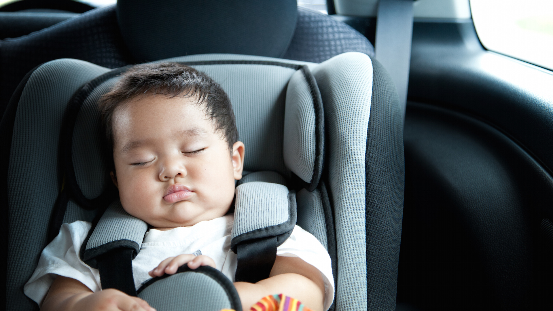 Graco Convertible Car Seat Recall Are You Affected? SheKnows