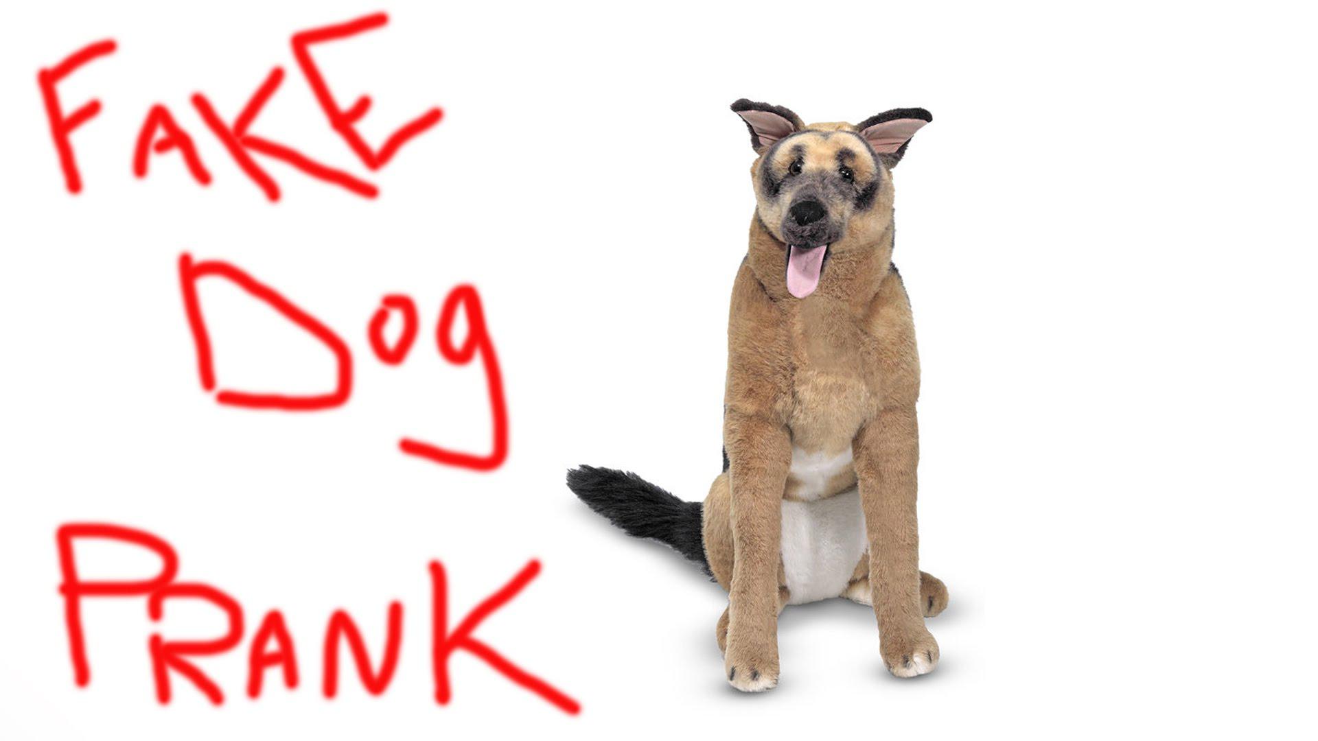 Fake dog prank tricks mom every time and it’s so good (VIDEO) SheKnows