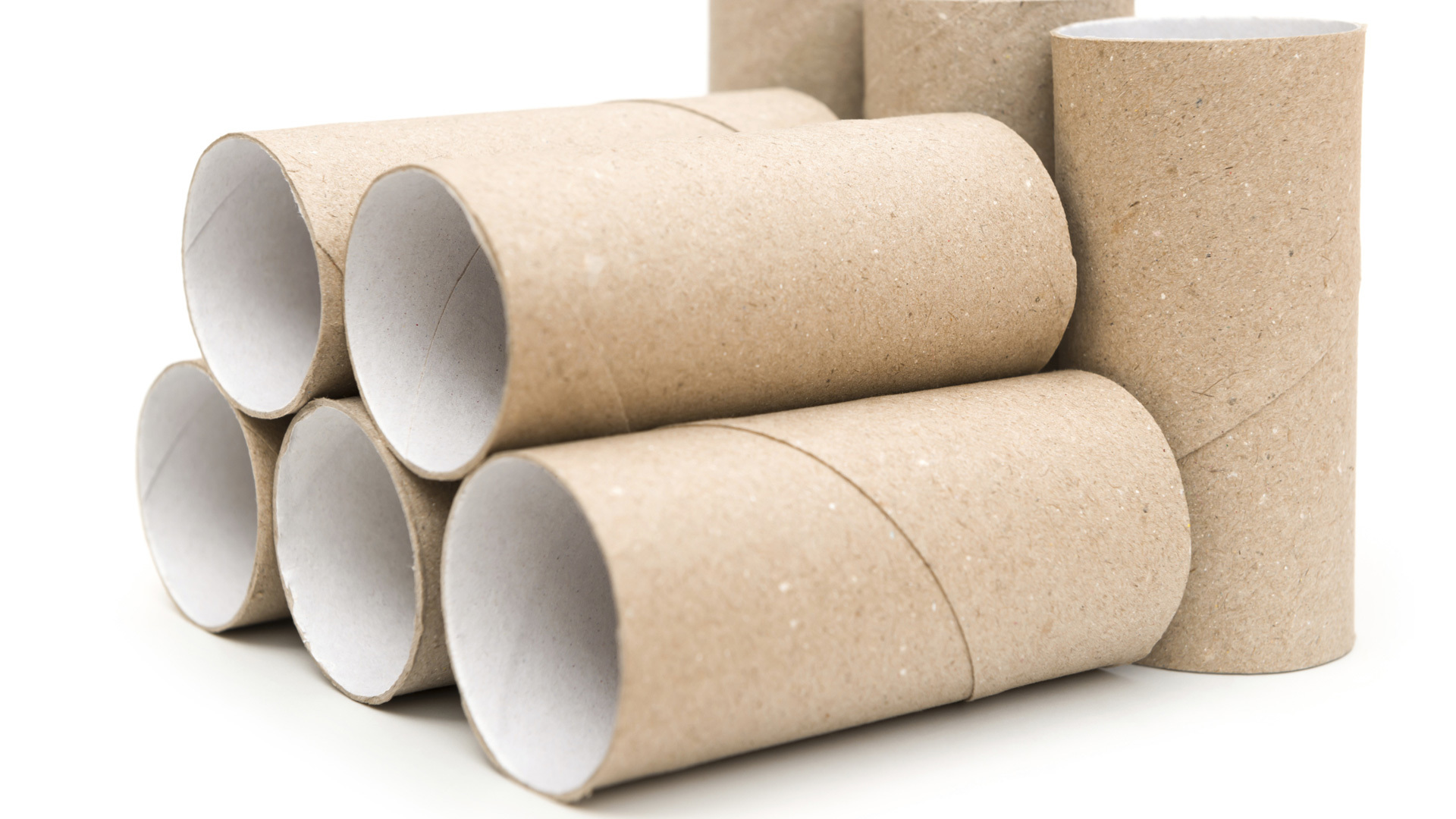 7 Chic ways to decorate your home with toilet paper rolls (seriously