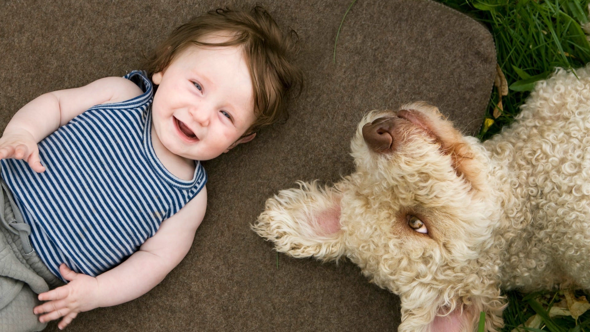 Top 173+ Animal baby boy names