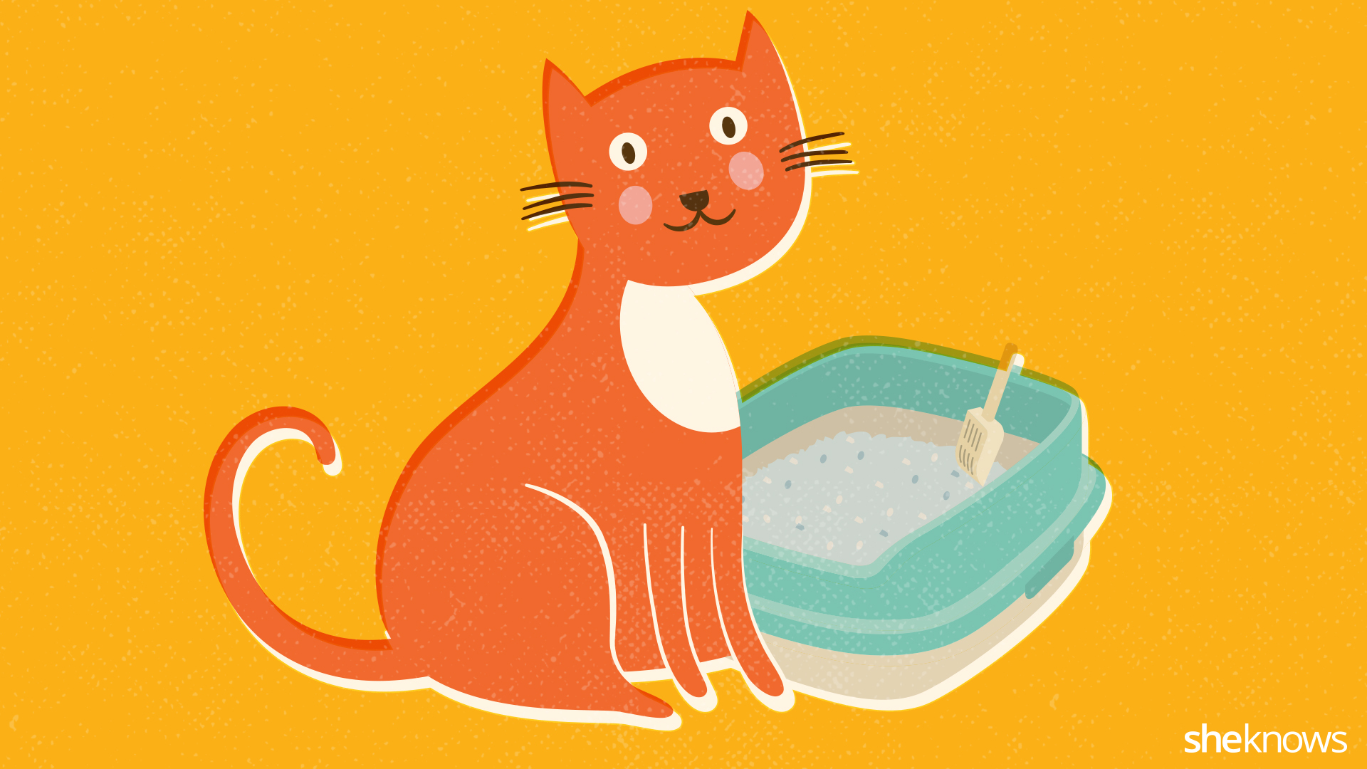 The perfect litter box cleaning routine (INFOGRAPHIC) SheKnows