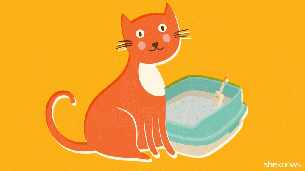 The perfect litter box cleaning routine (INFOGRAPHIC) SheKnows