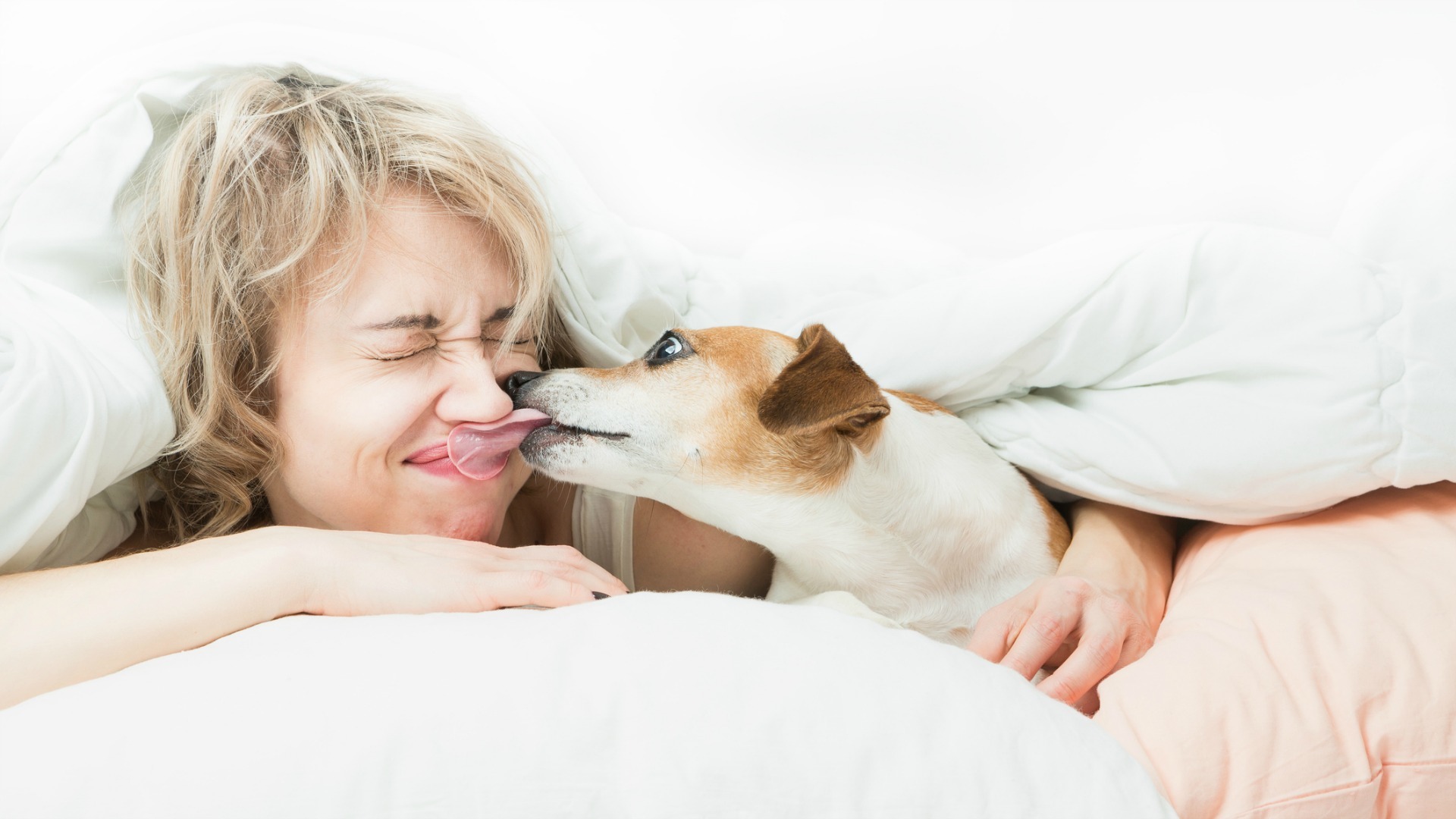 Do Dogs Know Why We Kiss Them