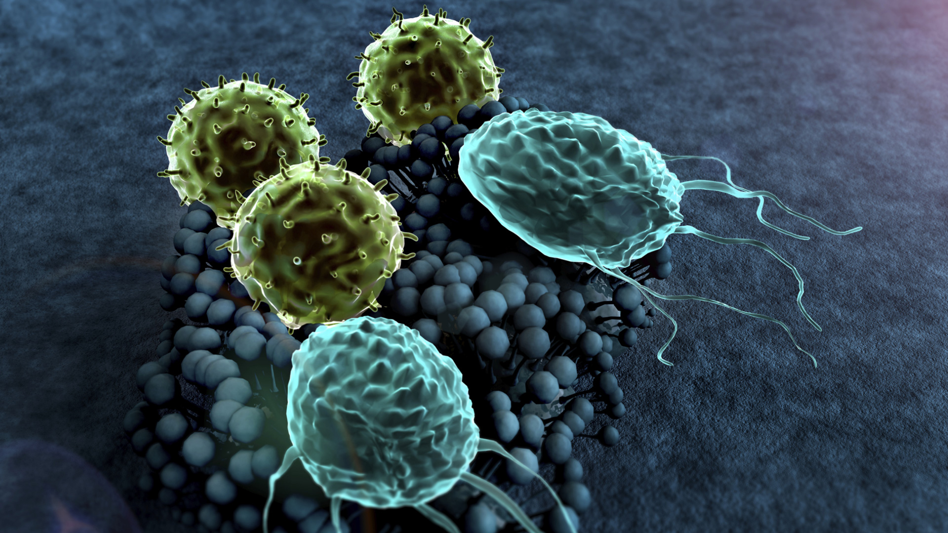 7 Nasty germs that are lurking in your carpet and mattress SheKnows