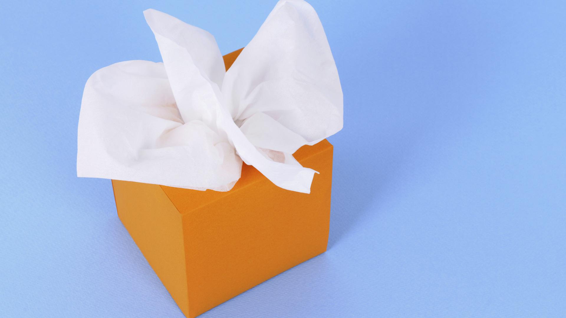 12 Ways to organize your home using old Kleenex boxes SheKnows