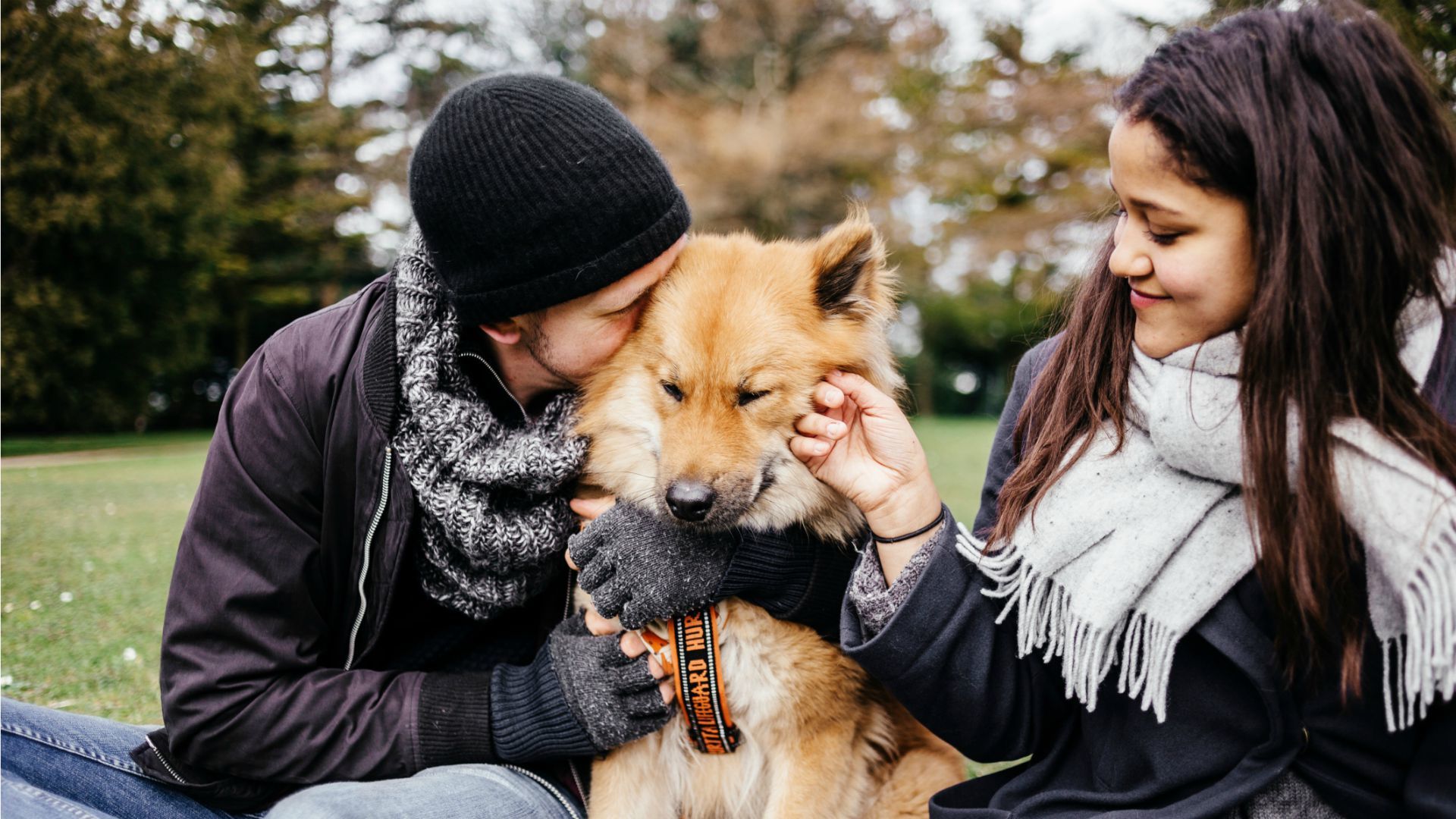 Why Does My Dog Need So Much Attention