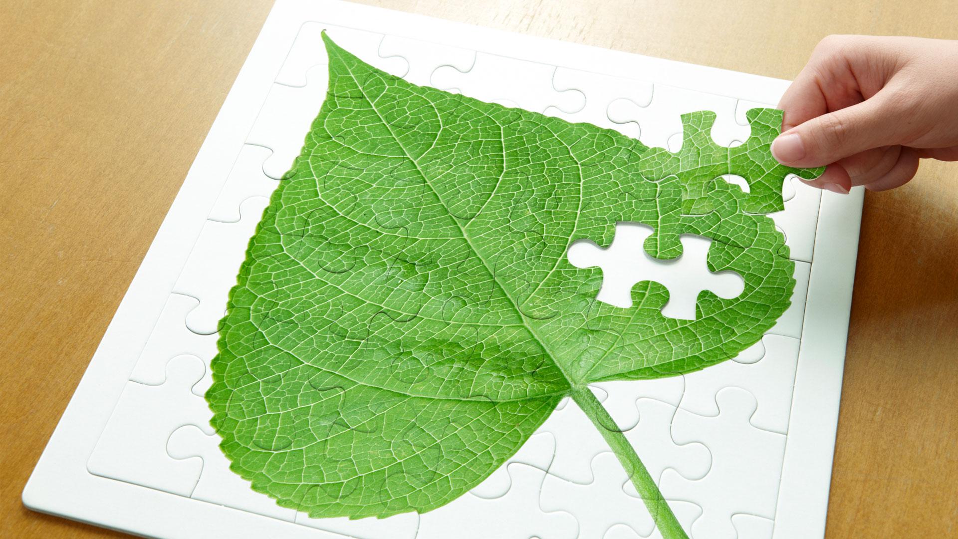 10 Jigsaw puzzles that actually make great art SheKnows