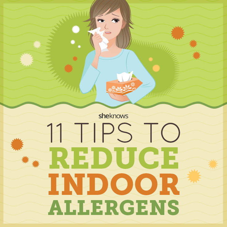 11 Tips to reduce indoor allergens (INFOGRAPHIC) SheKnows