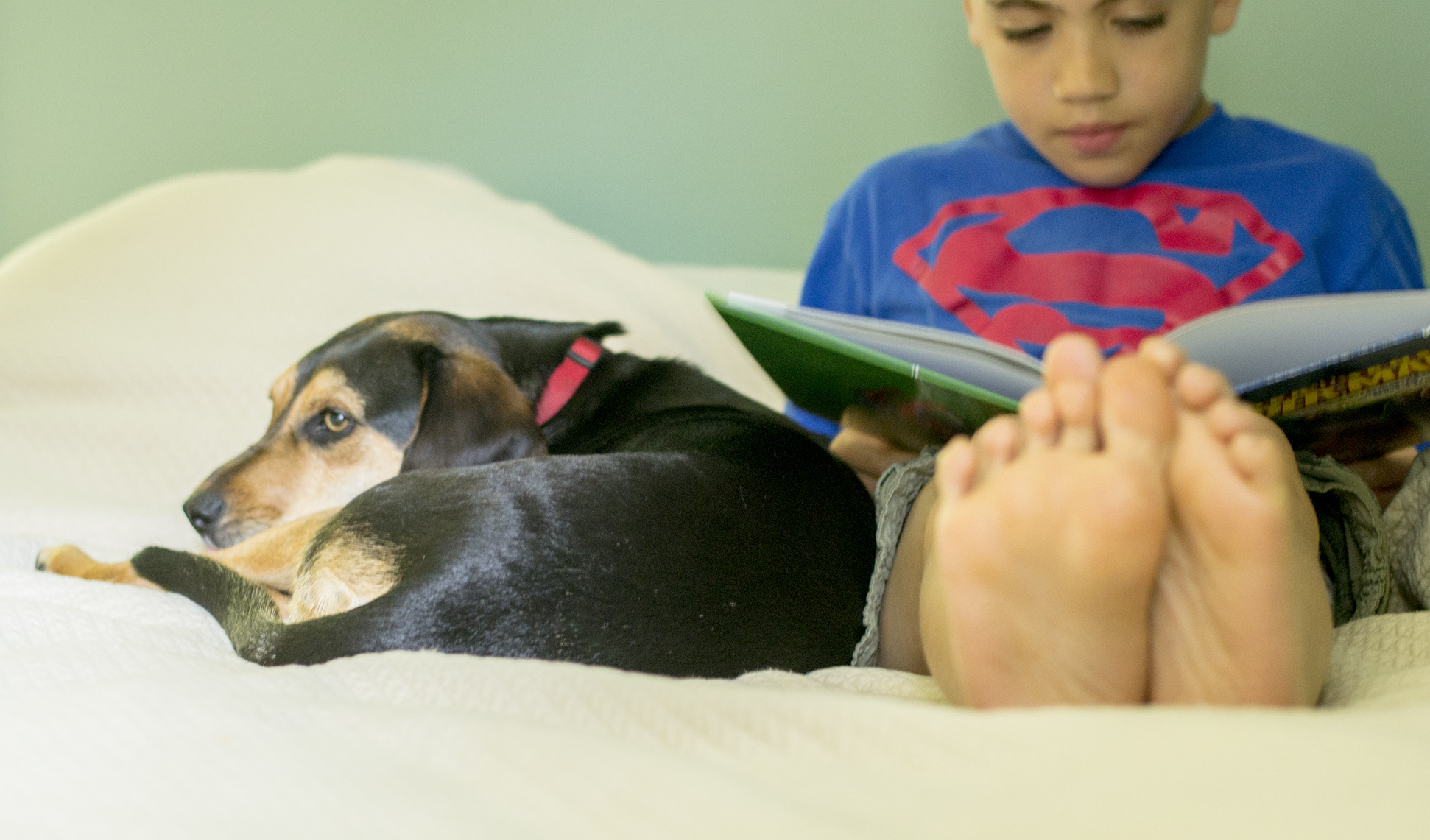 It took a dog to finally get my kid out of my bed