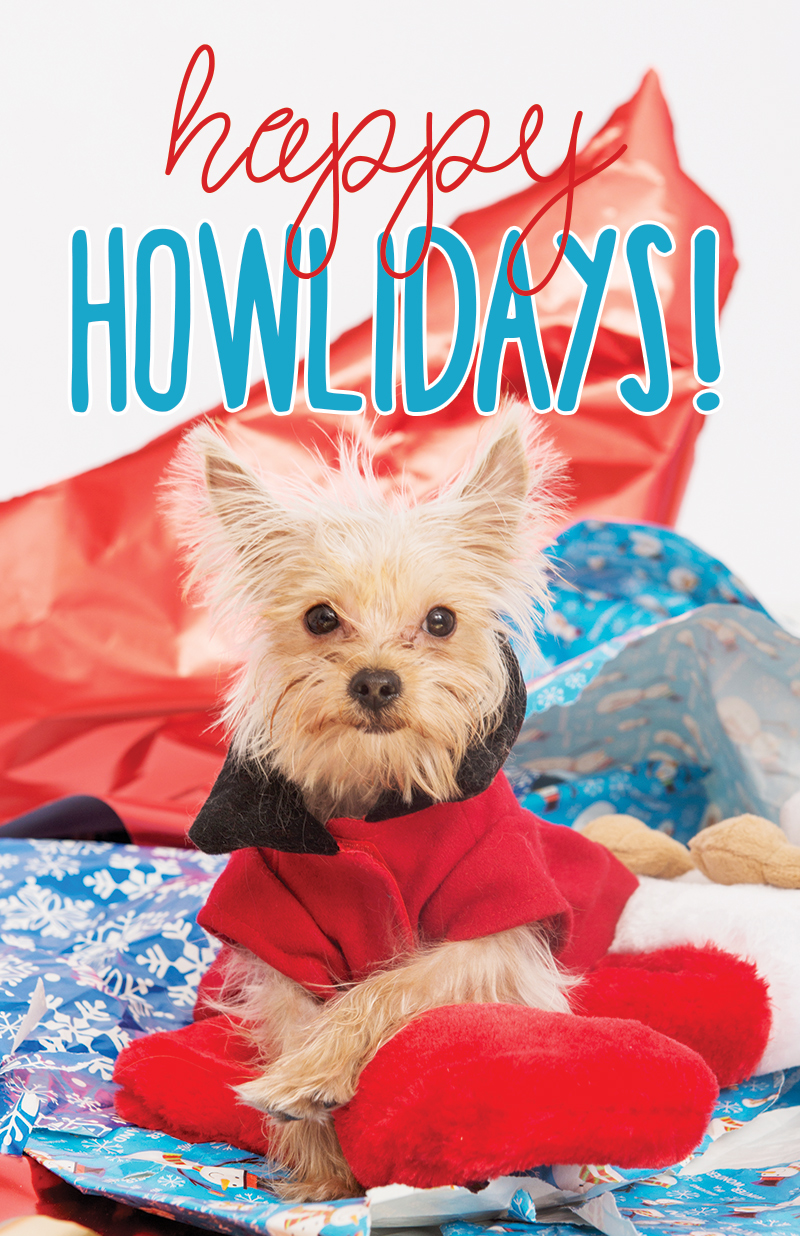 10 Printable holiday cards with adorable puppies and kittens SheKnows