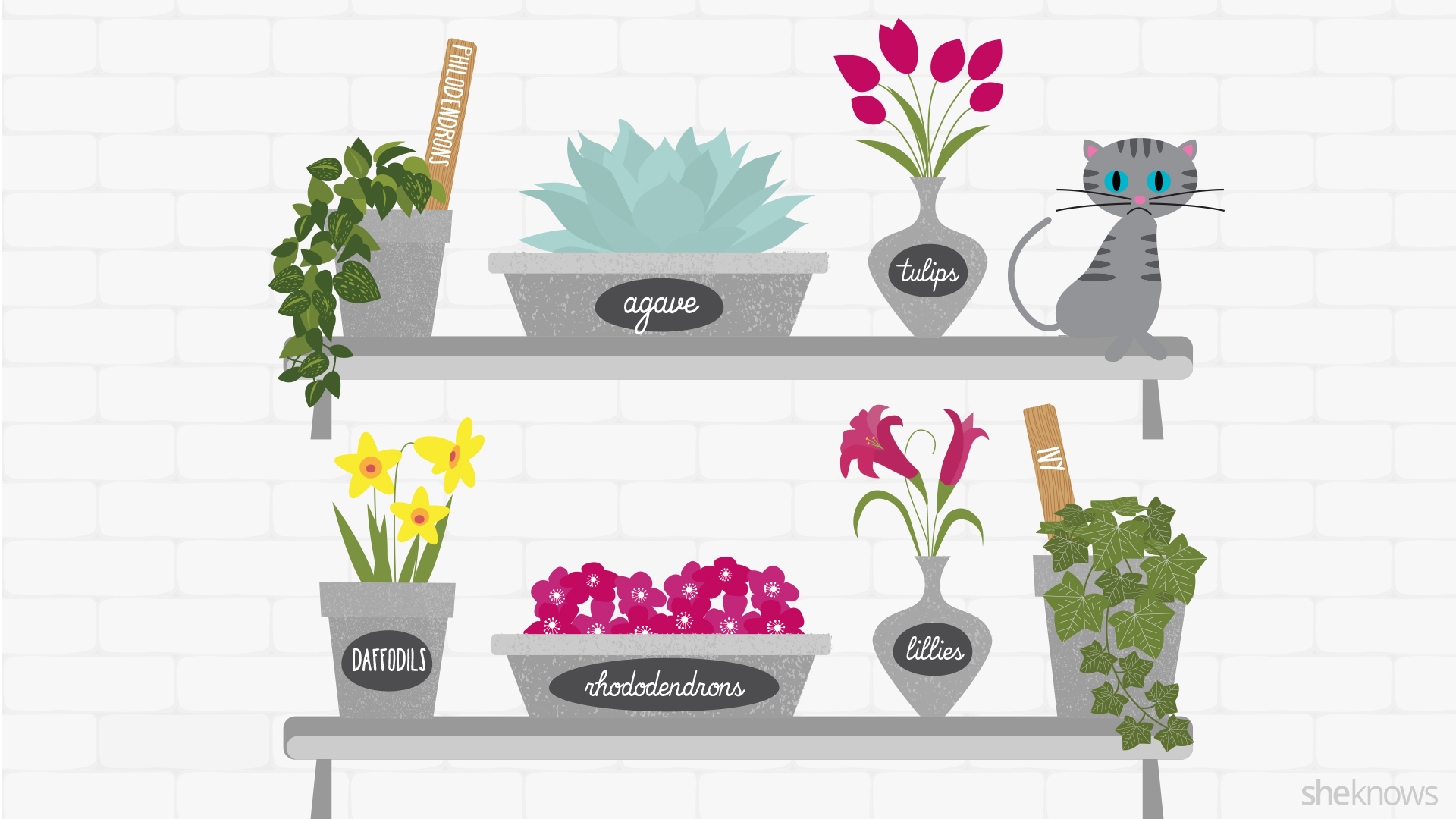 These 12 Common Plants Are Actually Poisonous to Cats SheKnows