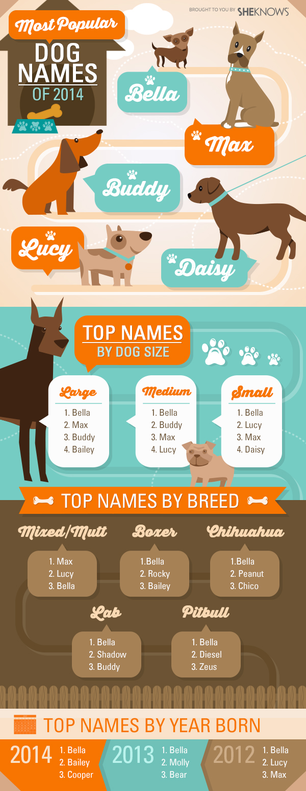 The most popular dog names of 2014 will surprise you SheKnows