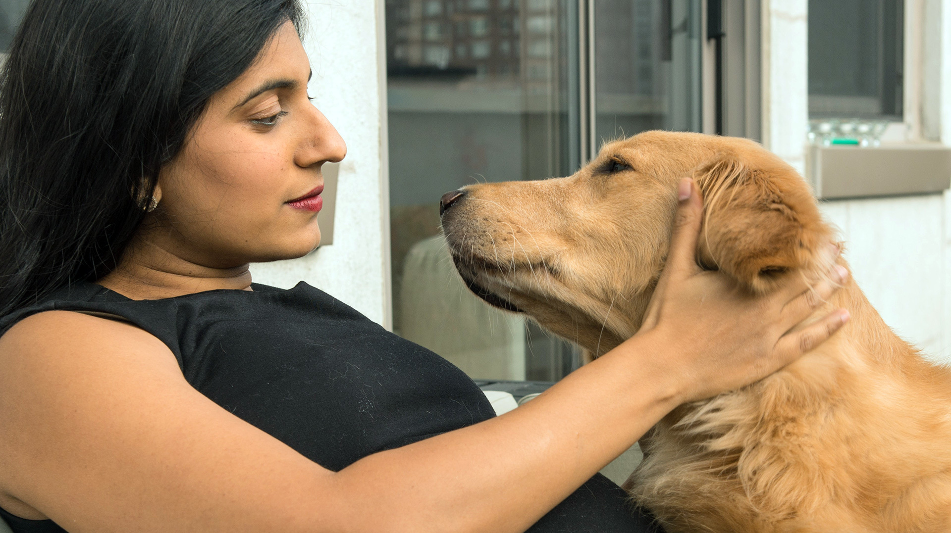 Dog owners can rest easy — there’s proof that dogs love us back SheKnows