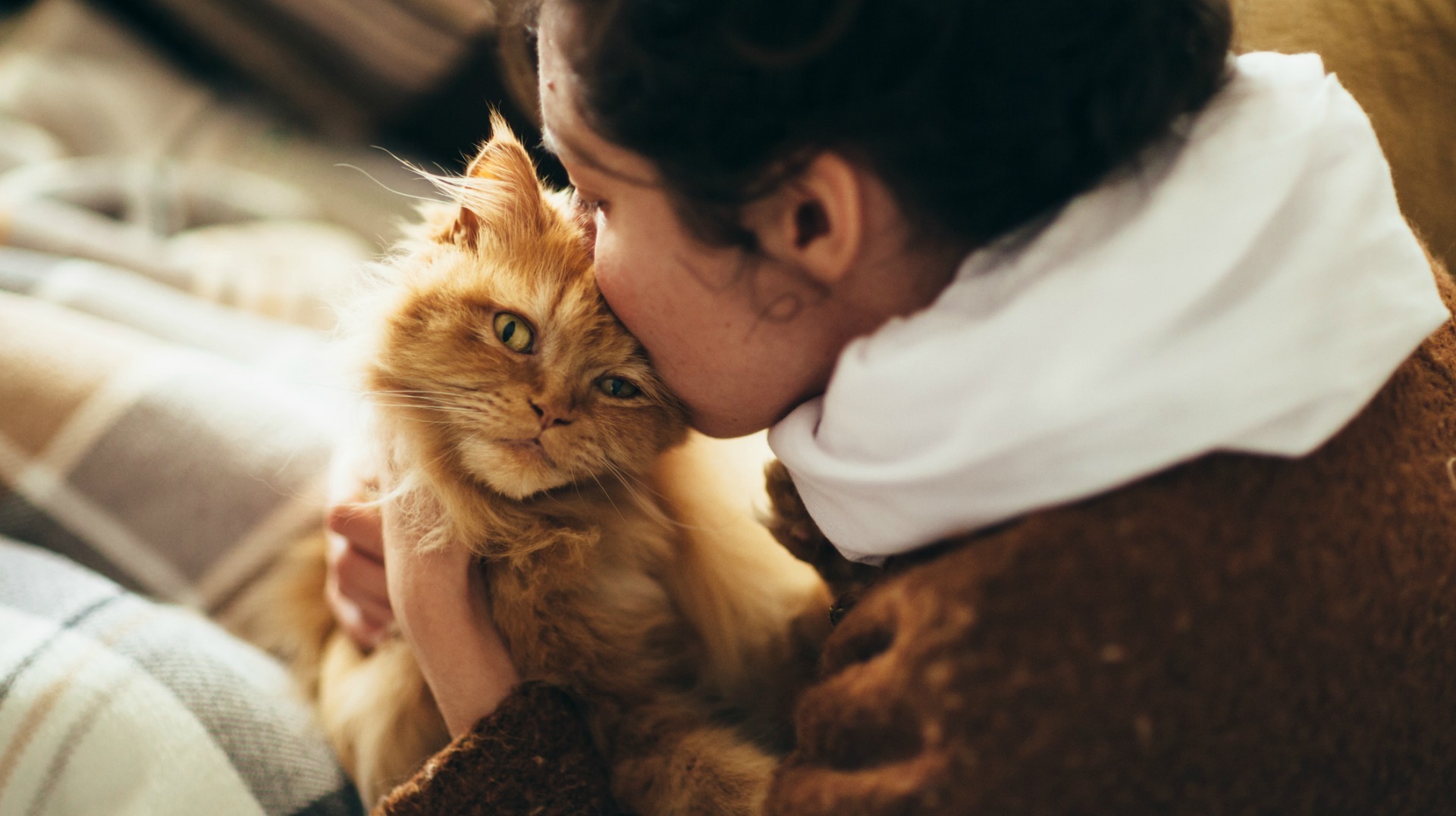 Do cats actually like affection? To find out, we asked a vet SheKnows