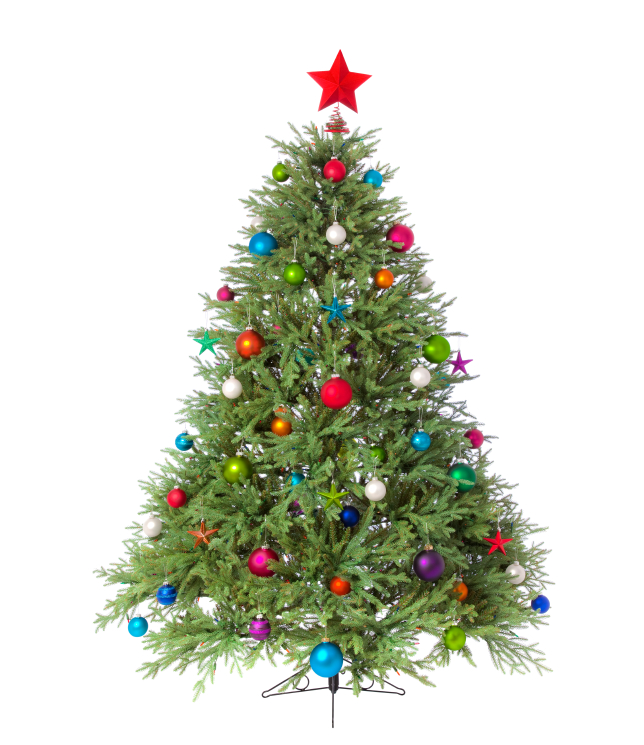 Find Christmas Trees The best of Pinterest Christmas trees SheKnows