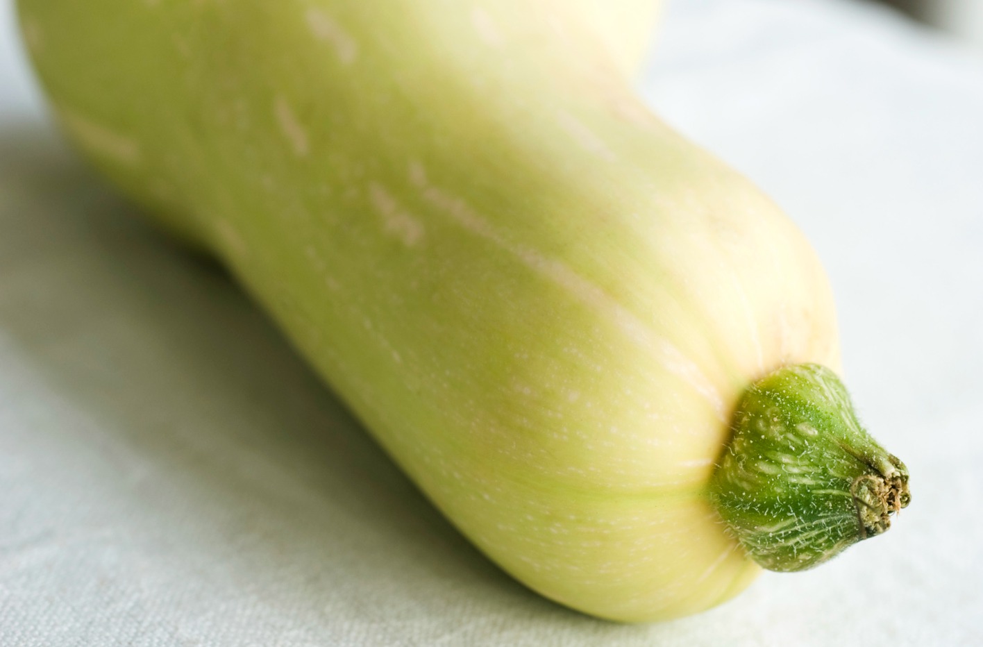 9 Foods that have medicinal properties