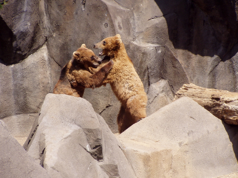 Riverbanks Zoo & Garden Columbia, South Carolina SheKnows
