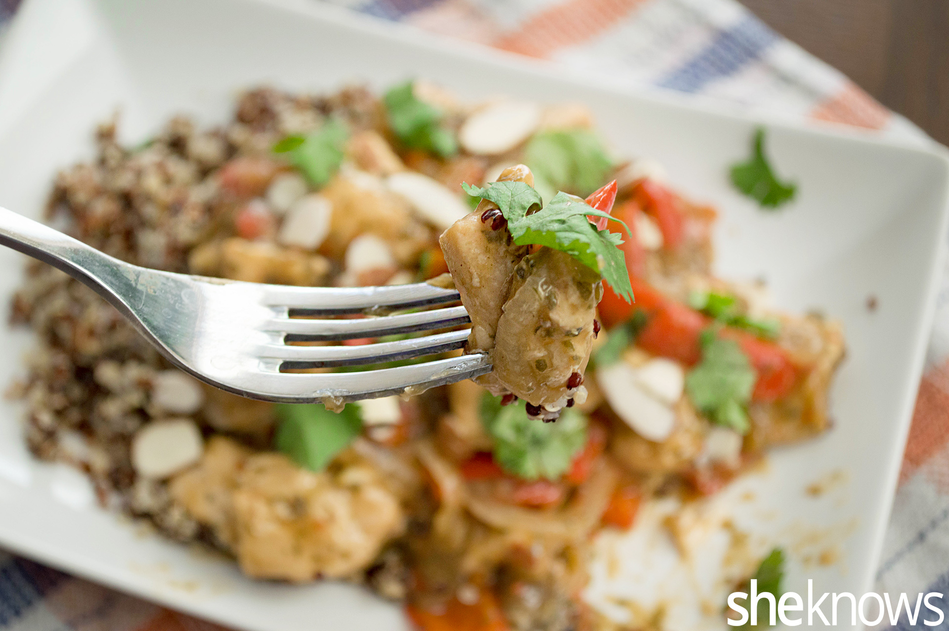 Slow cooker cashew butter chicken — take a break from typical peanut