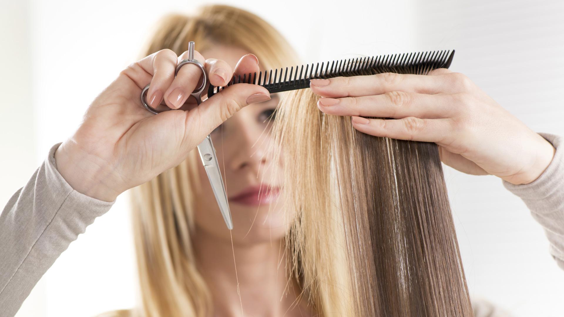 Regular haircuts do not actually make your hair grow Regular haircuts do not actually make your hair grow
