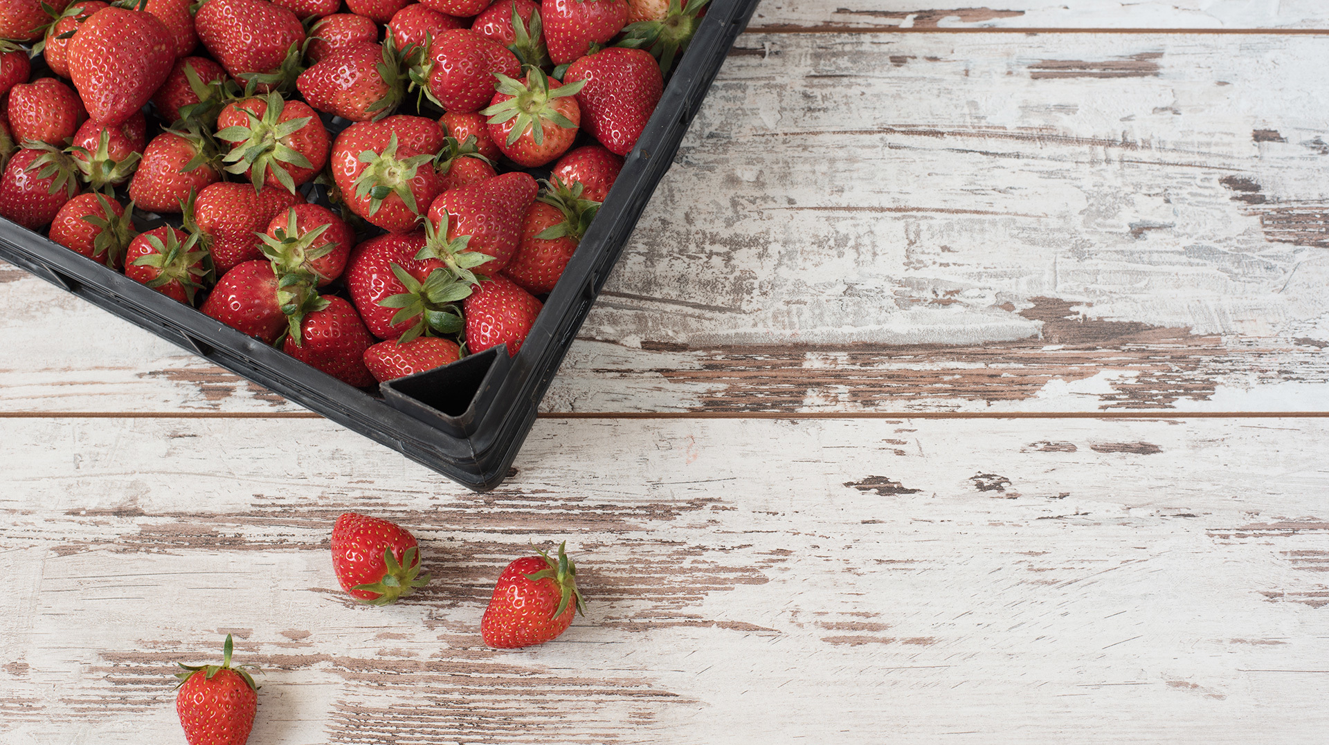 How to pack fruit so it doesn’t get totally smushed SheKnows