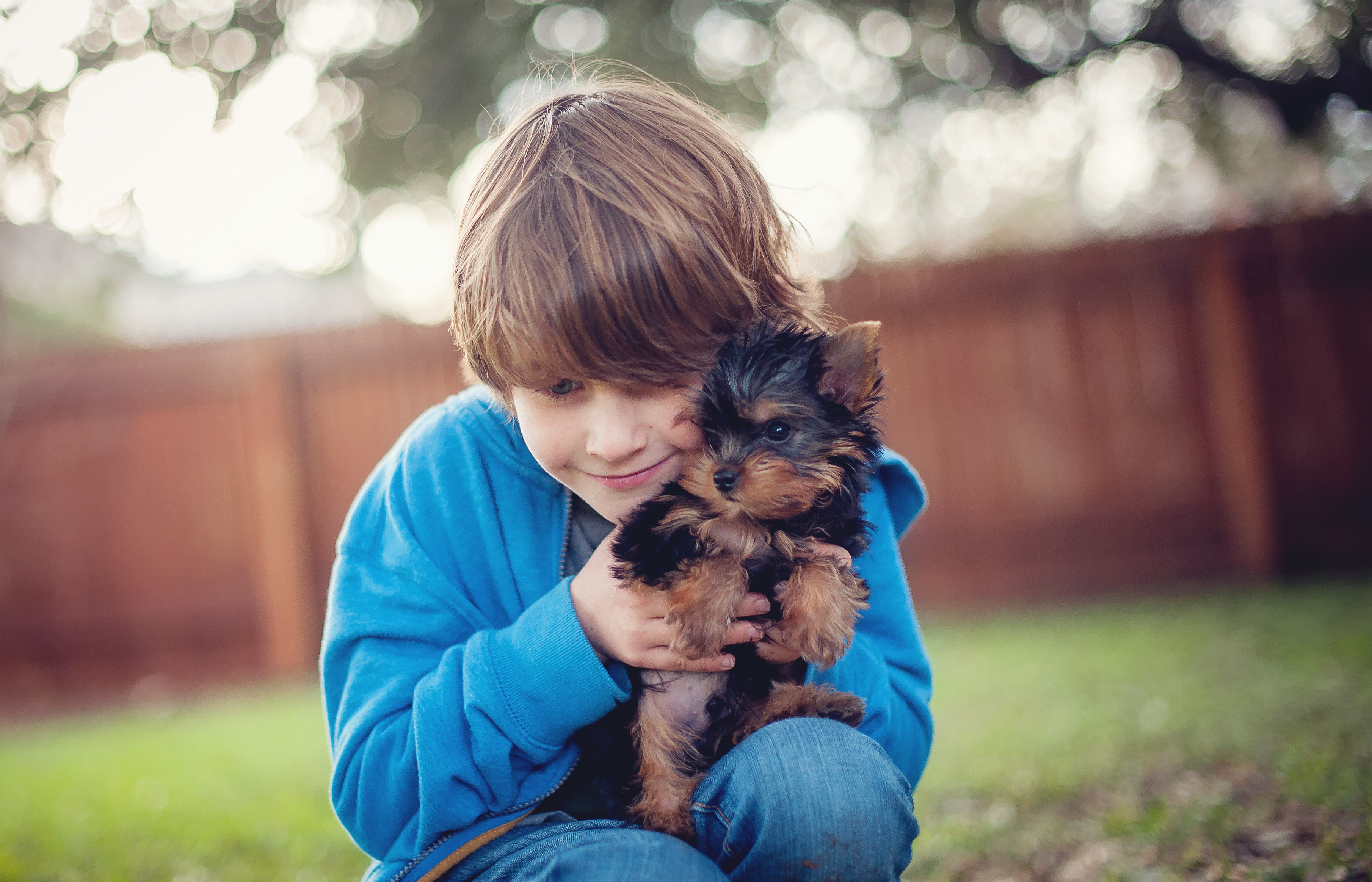 10 Small Dog Breeds That Are KidFriendly SheKnows
