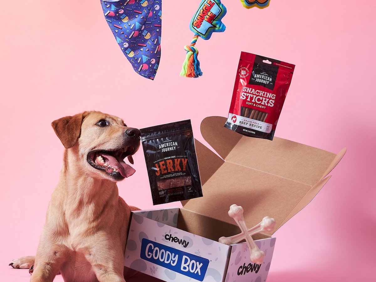 Chewy Now Sells Goody Boxes & They're Stuffed with Adorable Toys