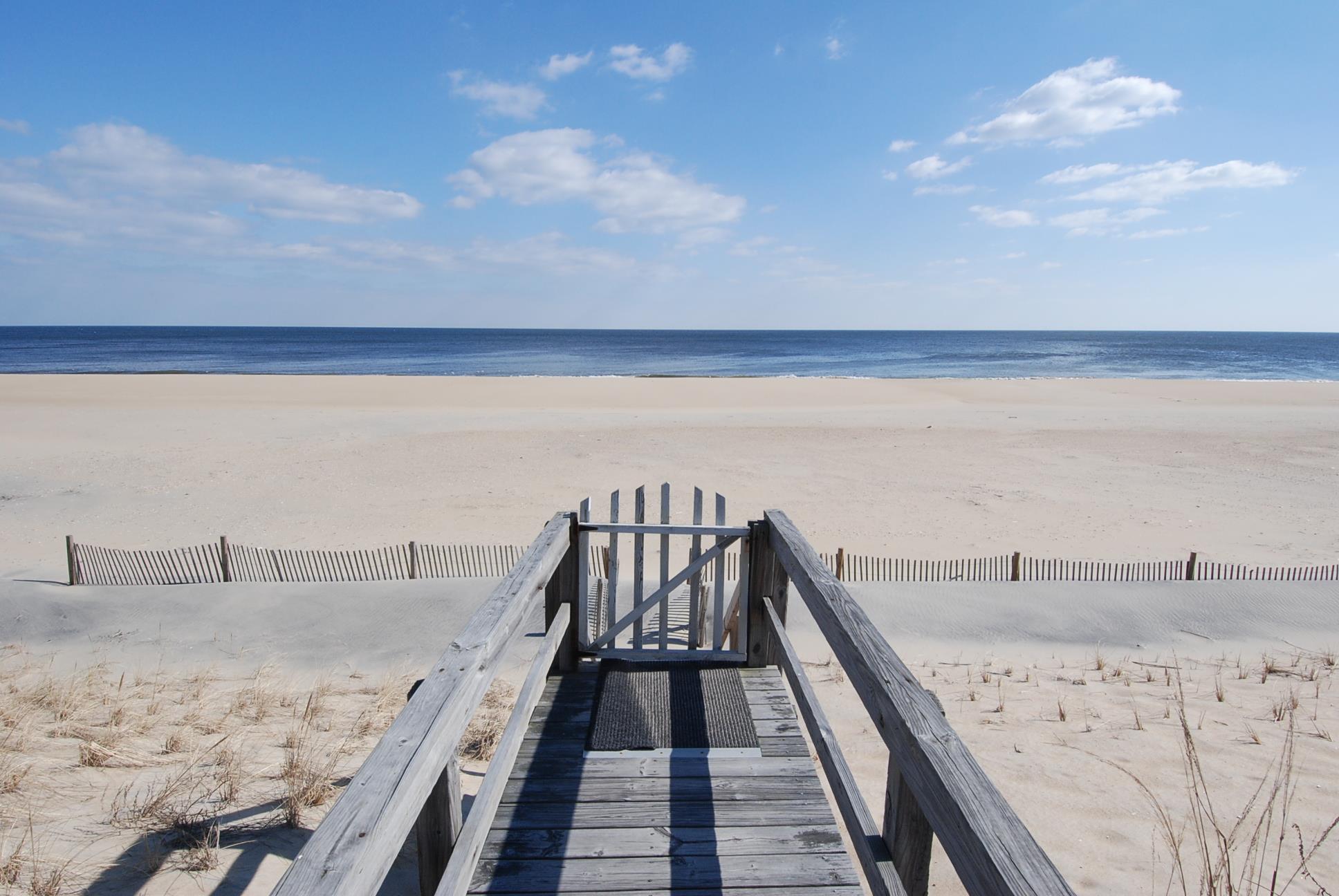 Middlesex Beach Shelby Smith