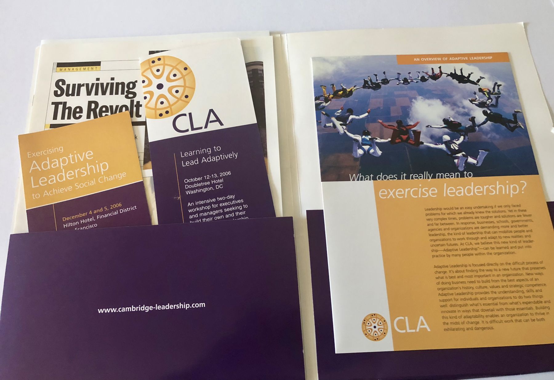 Cambridge Leadership Associates Scarlet Letters