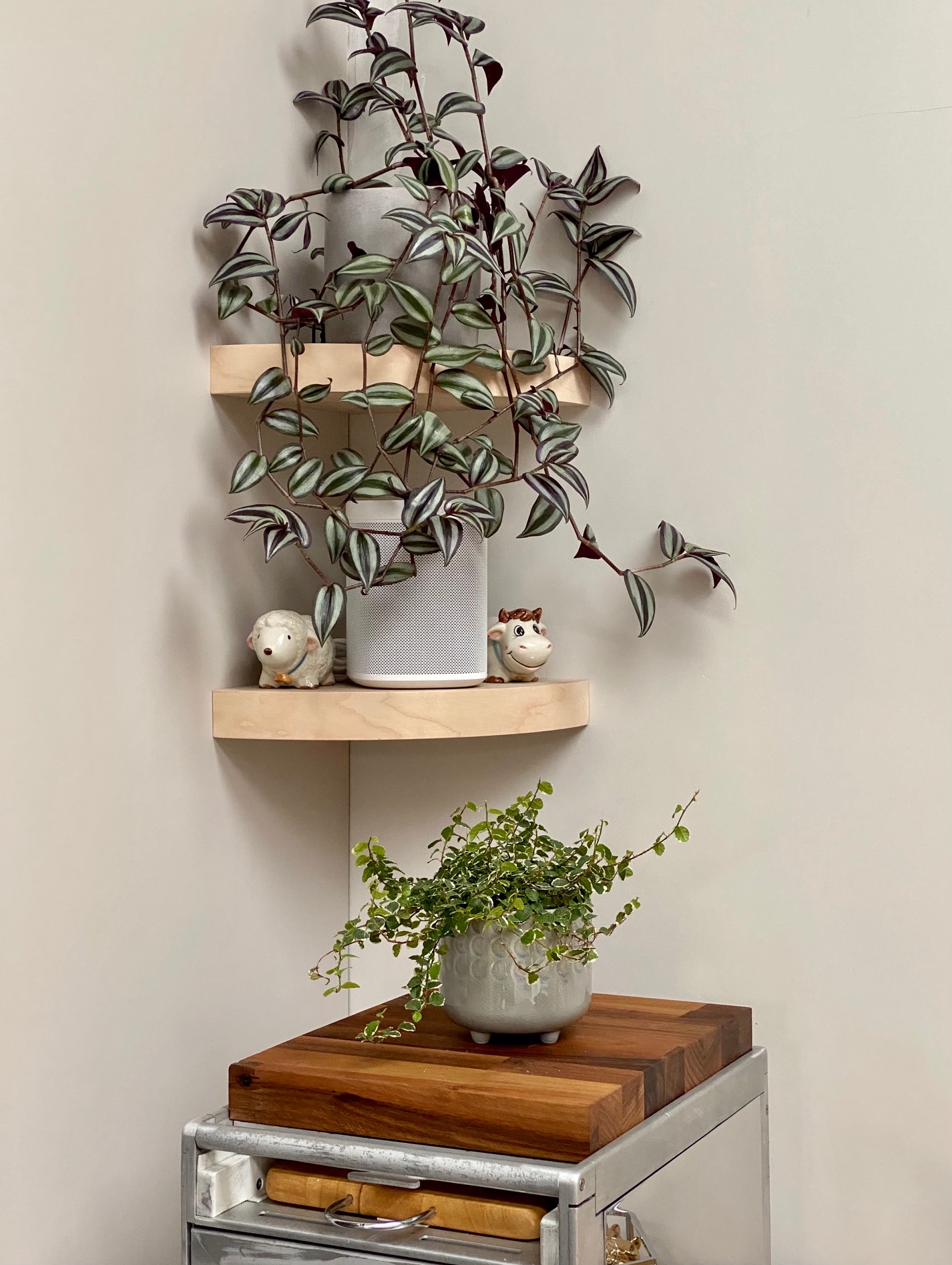 Wood corner floating shelves now with 20 off! Shelf Direct