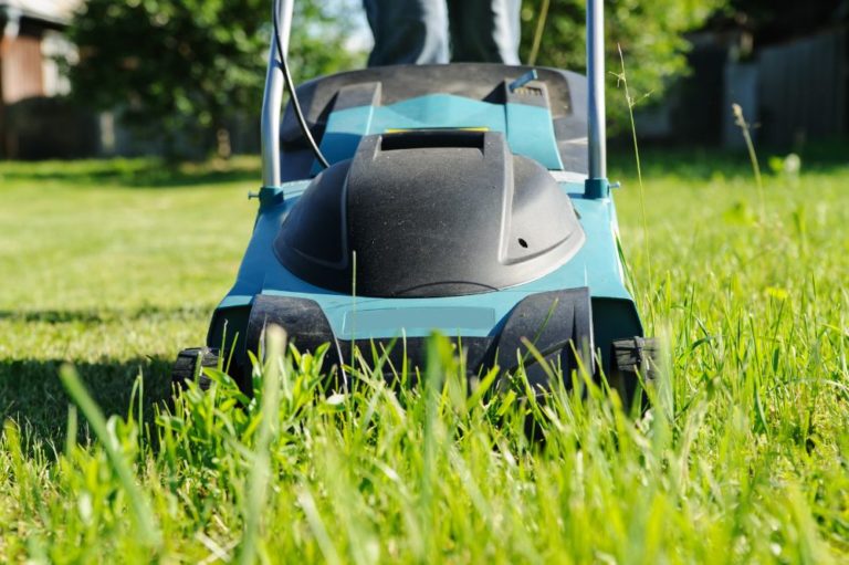 6 Best Riding Lawn Mowers in 2023 Top Lawn Tractors, Garden Tractors