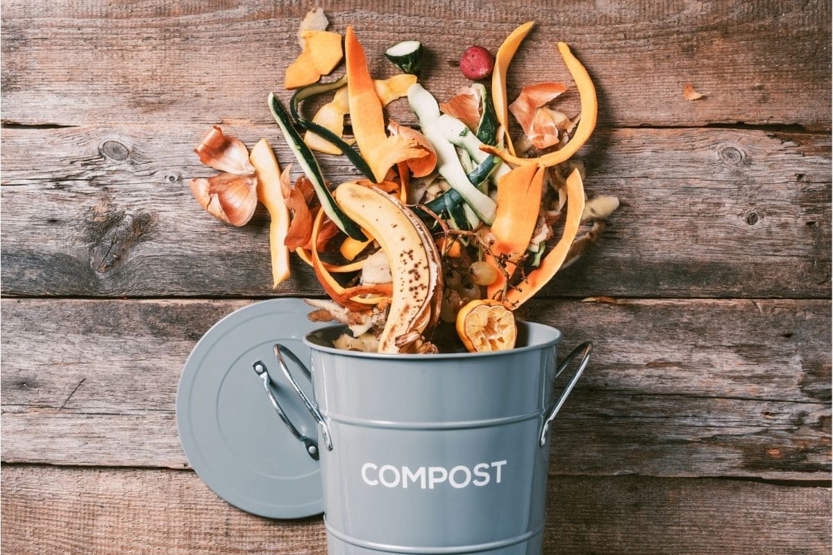 The 9 Best Kitchen Compost Bins in 2024 shelf