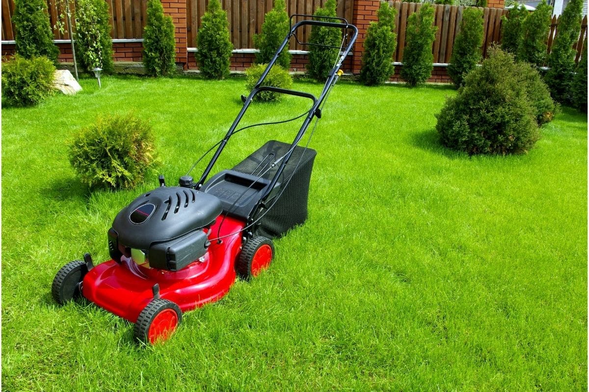 Different Types of Lawn Mowers Which Should You Use? shelf