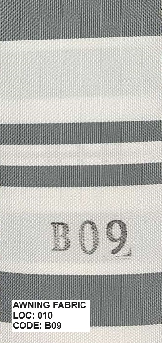 B09