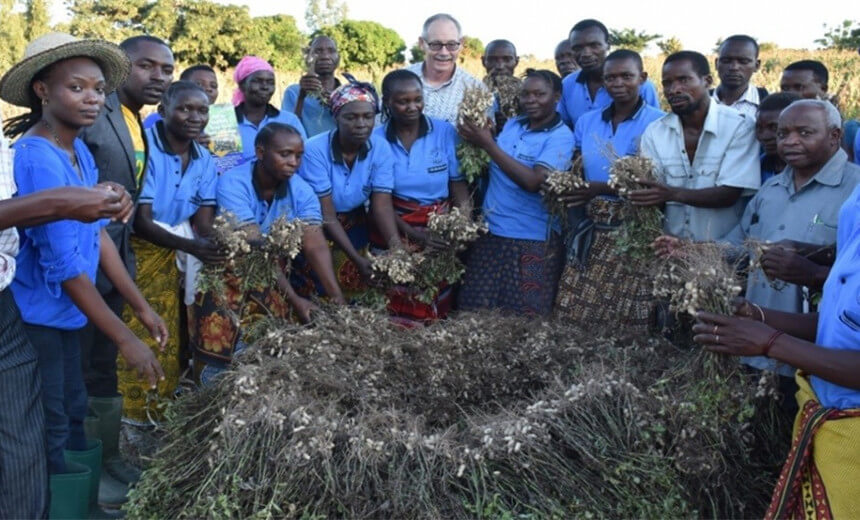 Tanzania Peanut Deep Processing Industry
