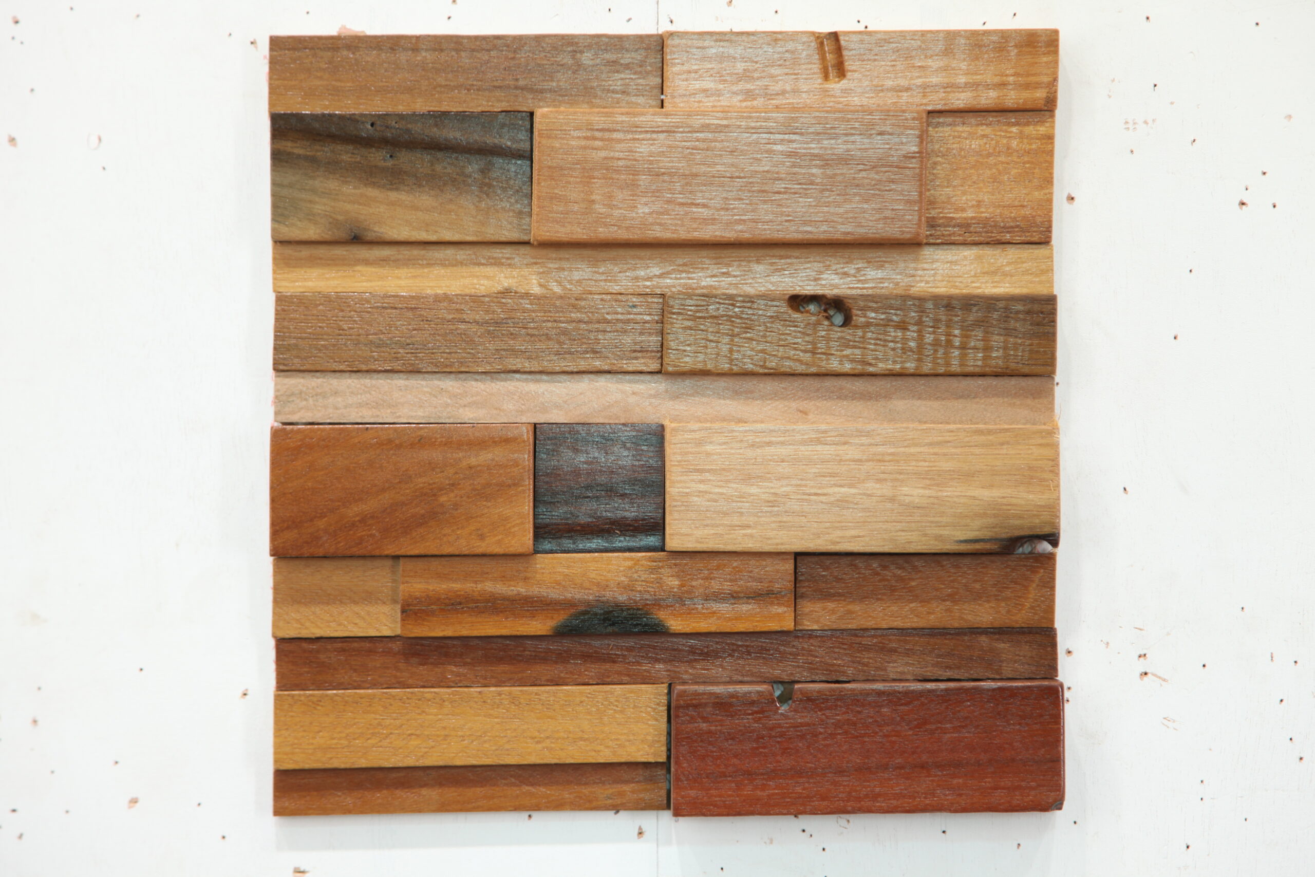 HM03 – ShellShock Designs