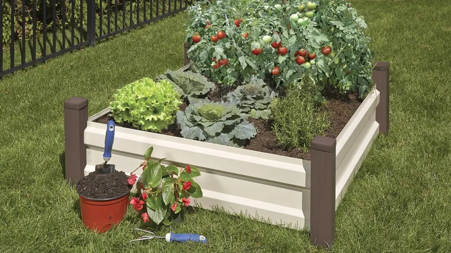 10 Container Plants to Grow in Your Raised Bed Garden ShelterLogic Canada