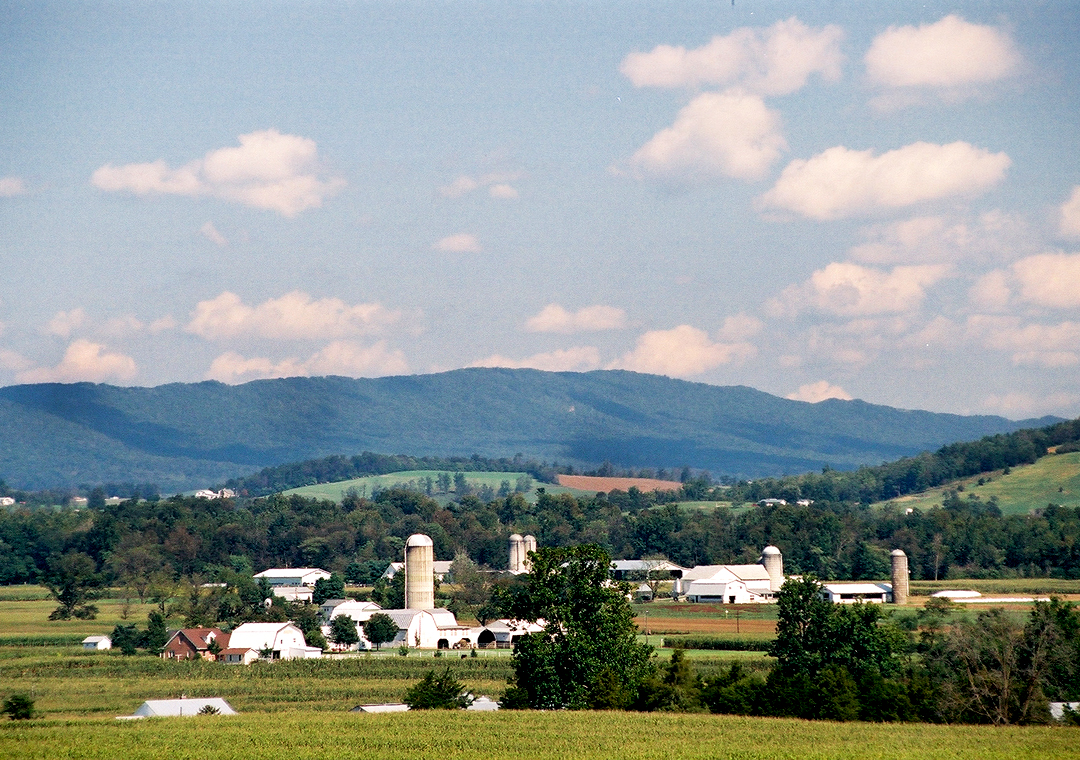 Shenandoah Farm Scenes