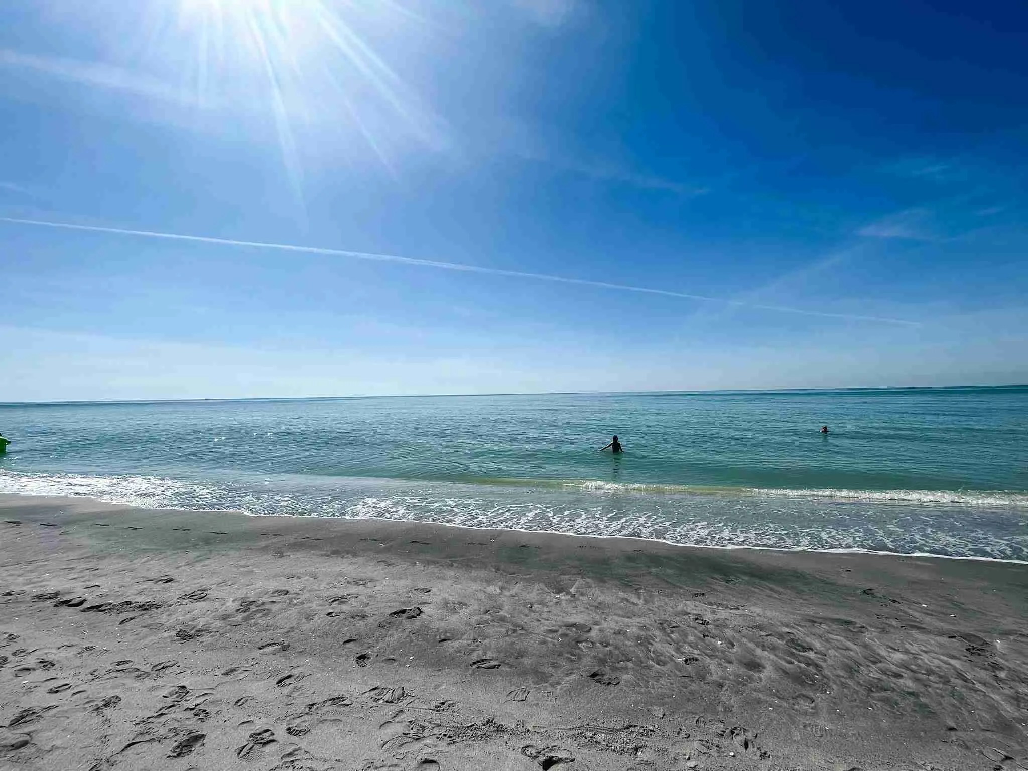 How to Find TONS of Teeth at Venice Florida Shark Tooth Beach