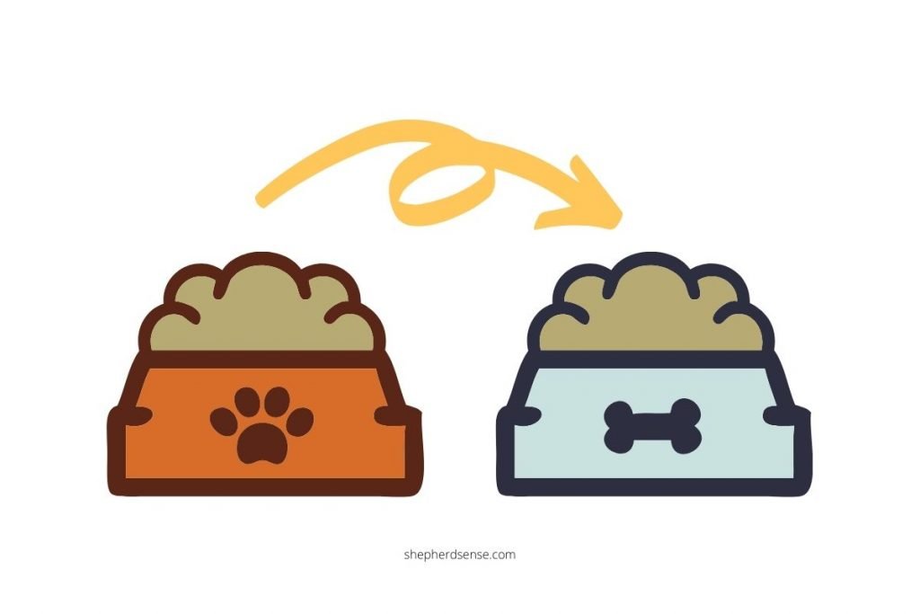 9 Best Dog Foods for Your Companion with Sensitive Stomachs