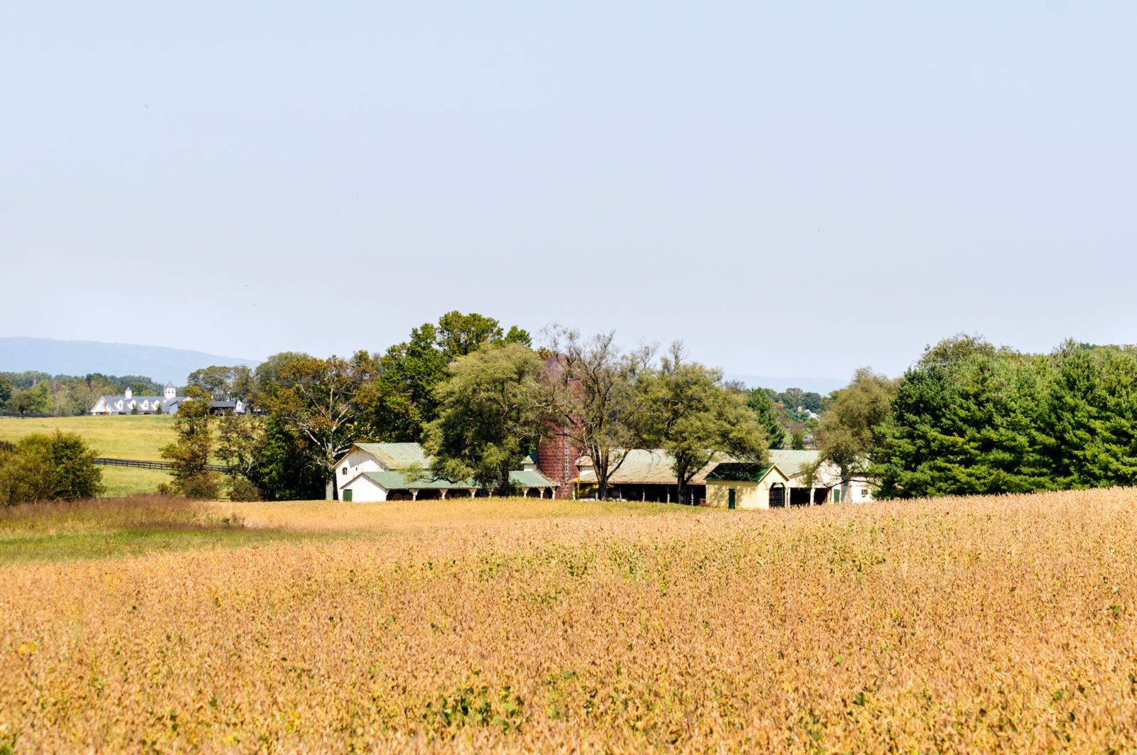 Sheridan MacMahon, Ltd. Arlington Farm, Marshall, Virginia Sheridan