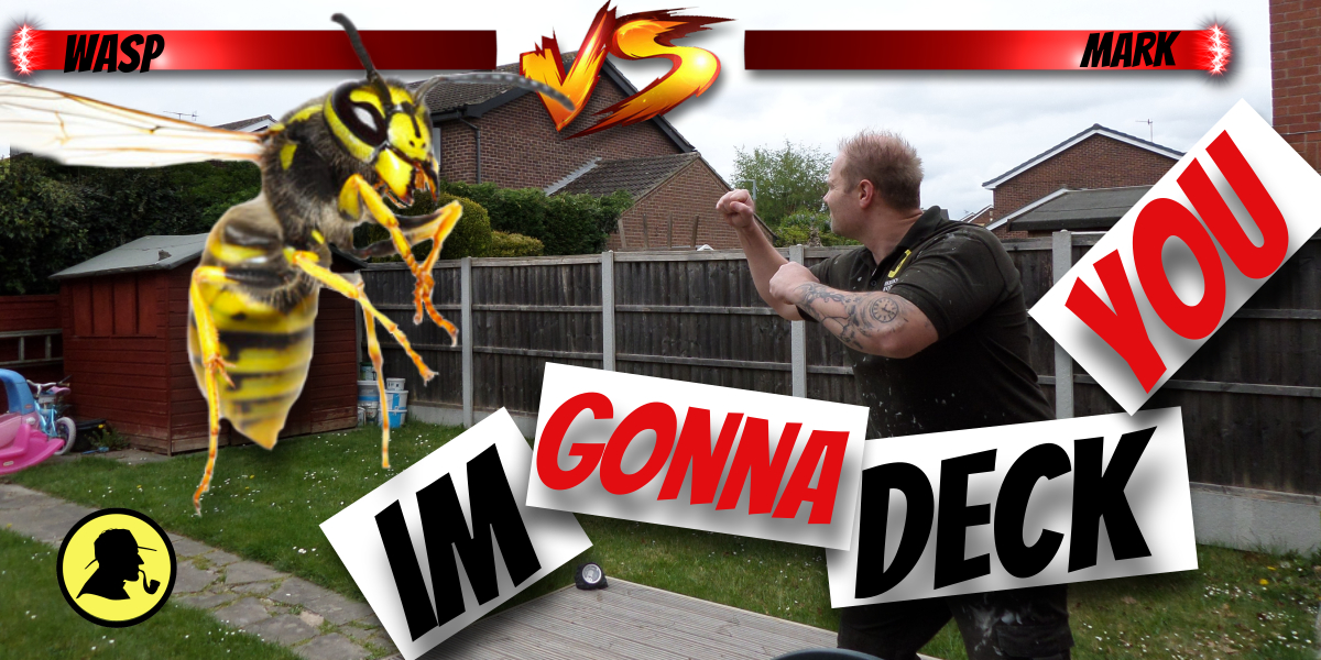 How Do I Keep Wasps From Building Nests Under My Deck?