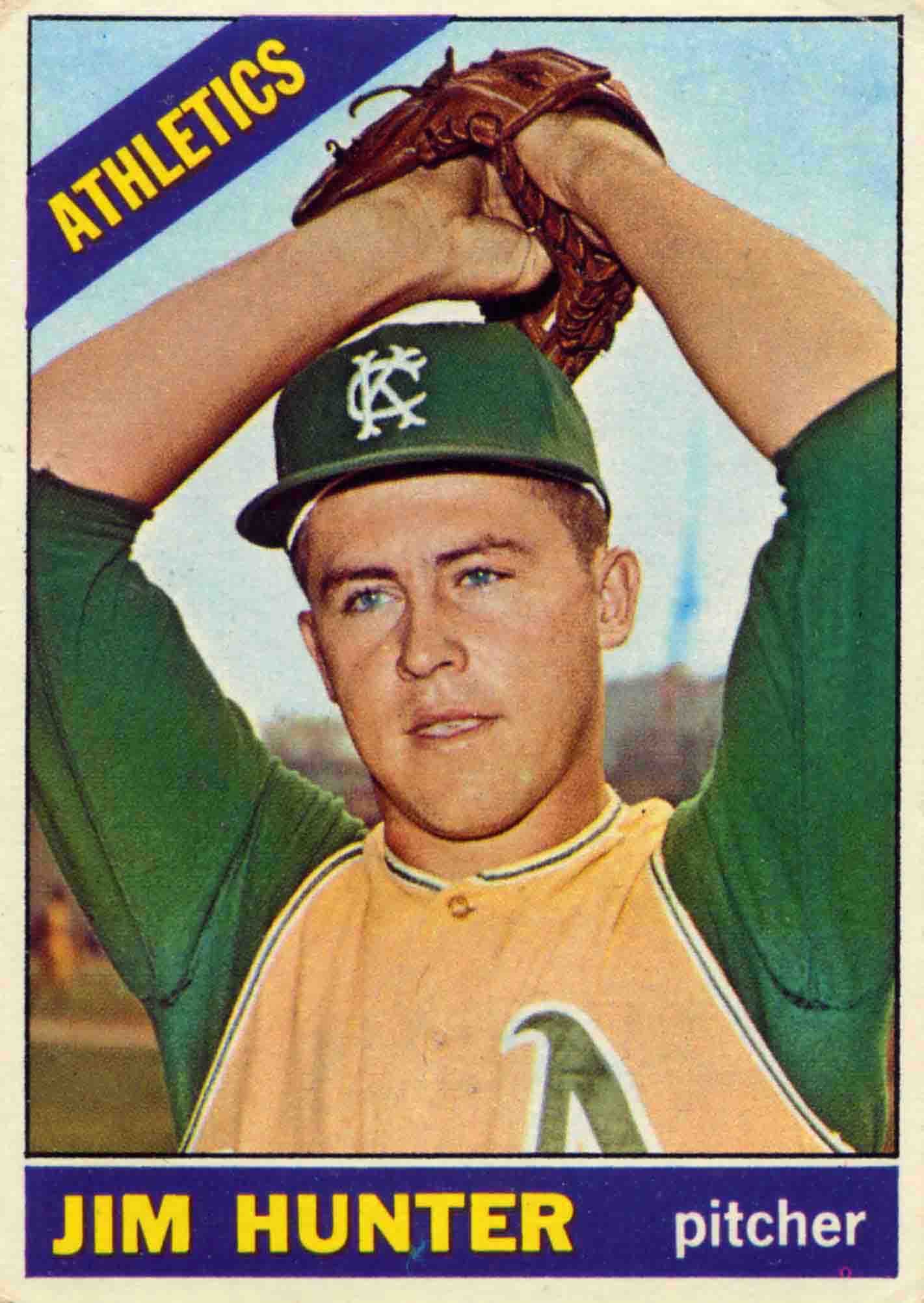 Catfish The Sherman ReportThe Sherman Report