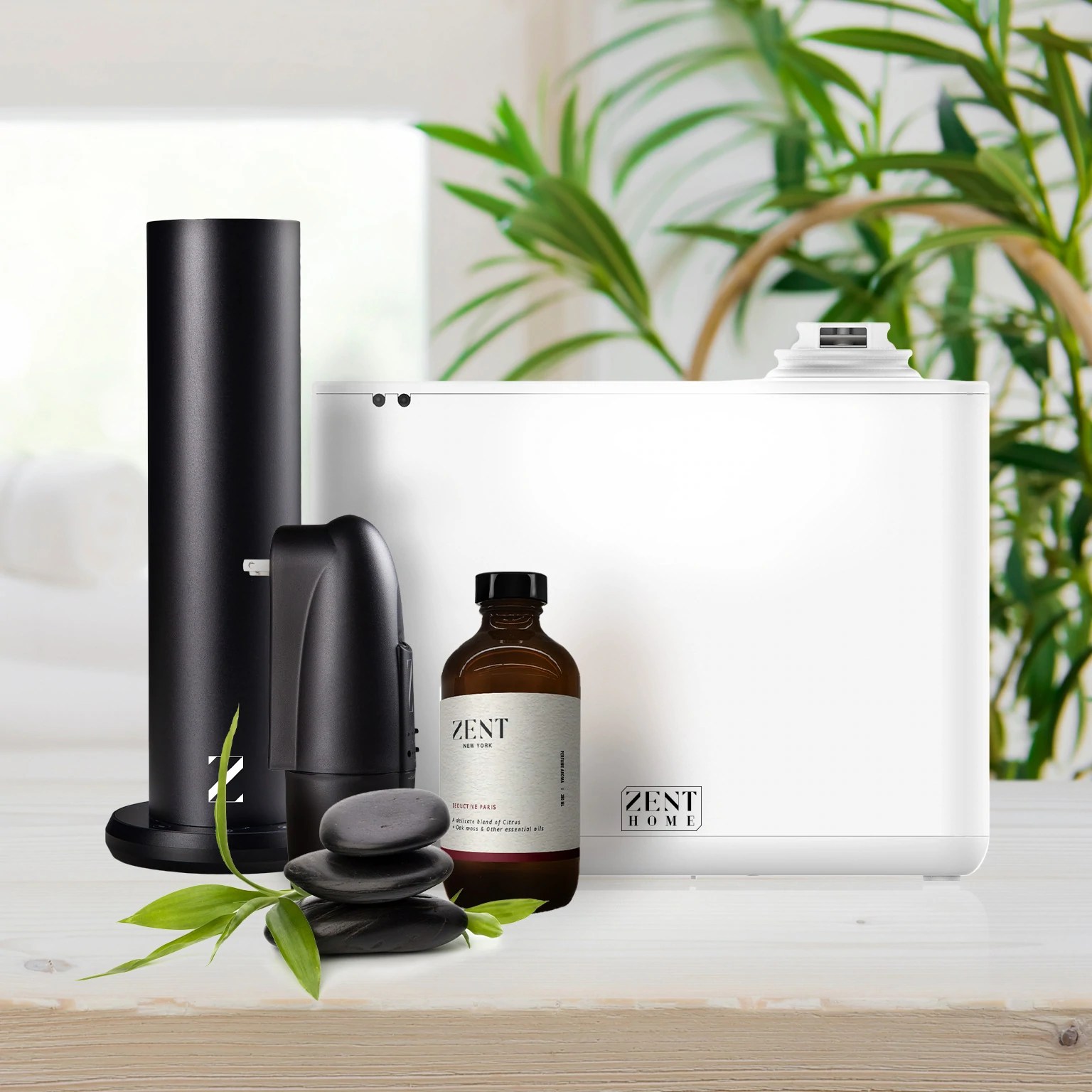 Invigorate your mind and body with Zent New York