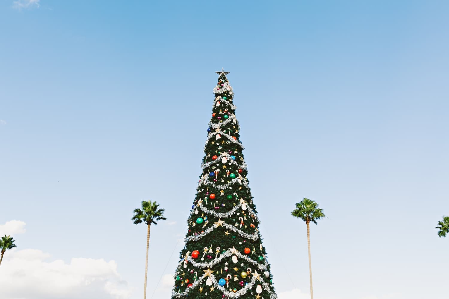 Christmas In Las Vegas All Your Favorite Winter Activities She Strayed