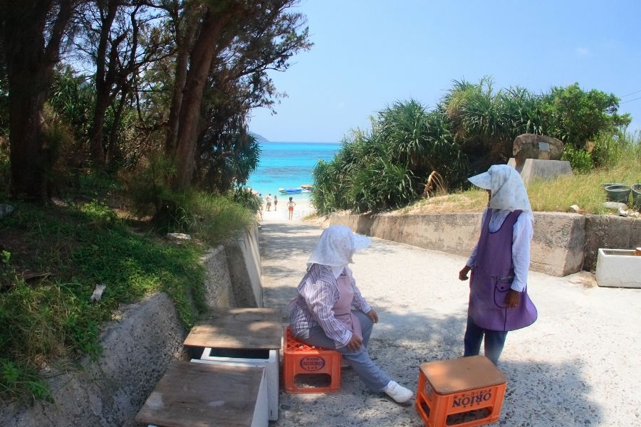 渡嘉敷島の島内交通 (レンタカー・レンタバイク・レンタサイクル・タクシー・バス) 「島んちゅNAVI 渡嘉敷島」