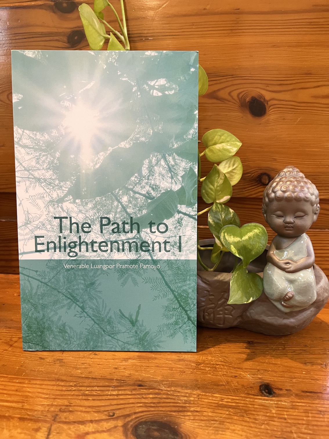 The Path to Enlightenment I 靜慮林
