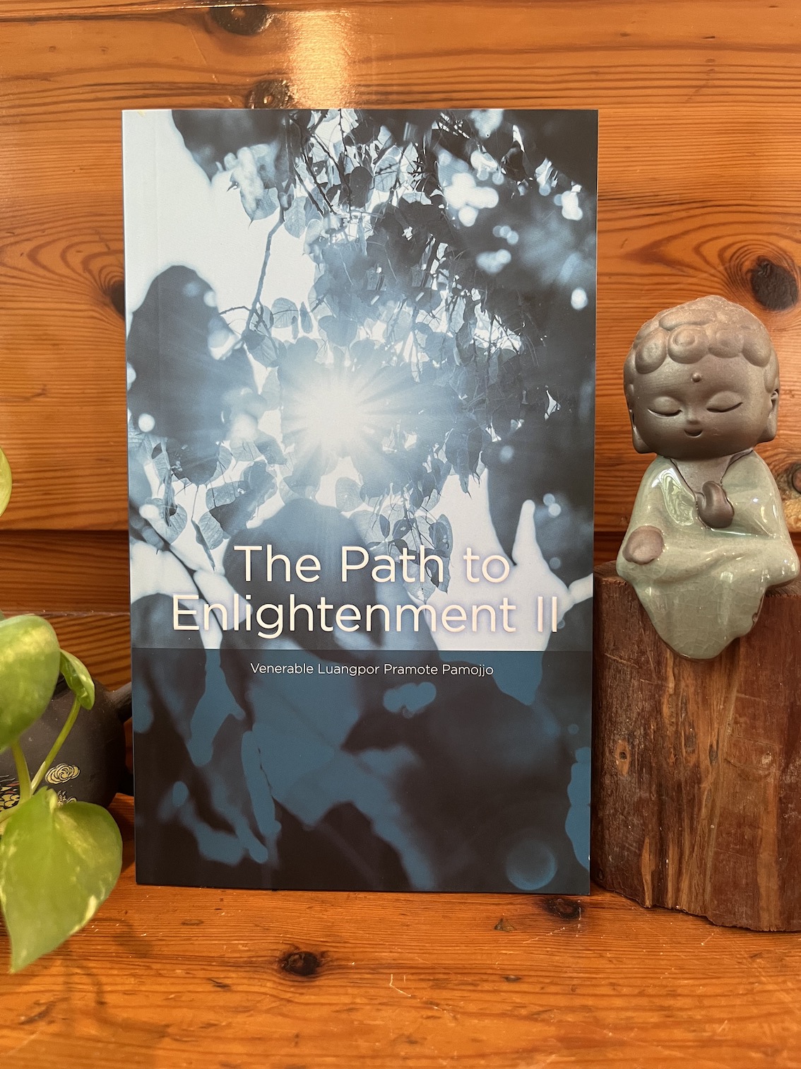 The Path to Enlightenment II 靜慮林