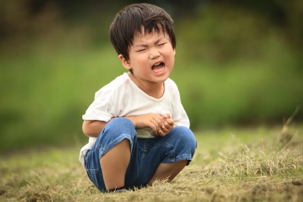 4歳児は心が揺れている！「4歳の壁」「反抗期」の特徴と正しい対処法とは？ SHINGA FARM