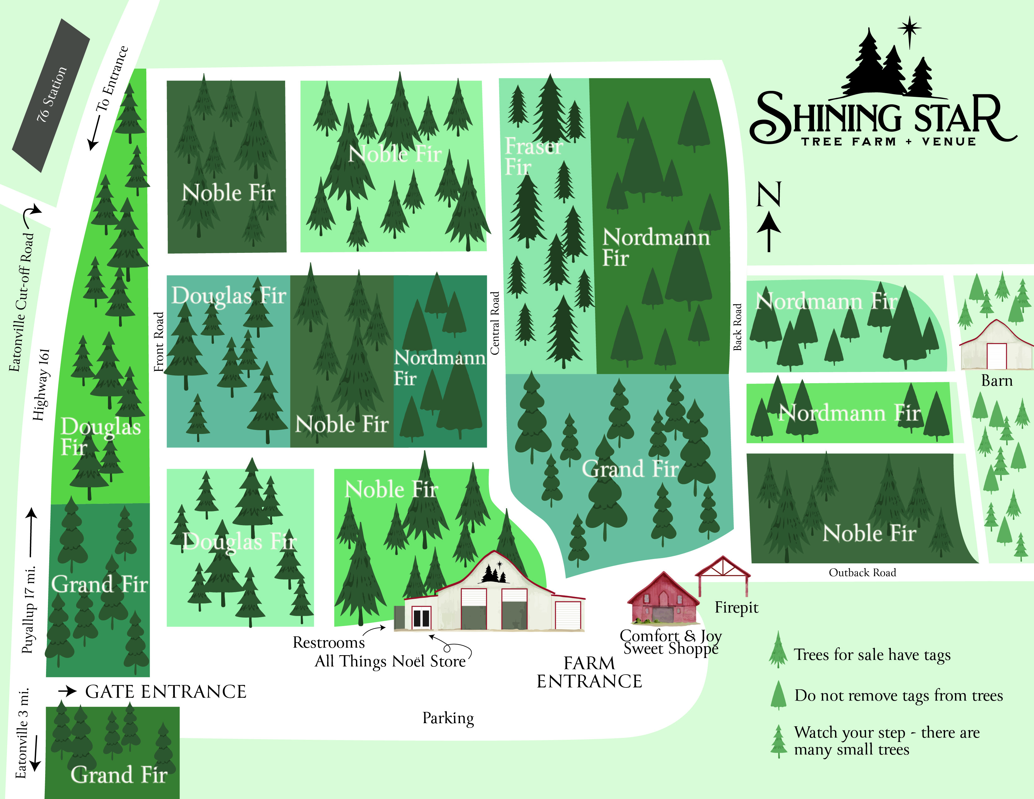 OUR TREES — Shining Star Tree Farm + Venue