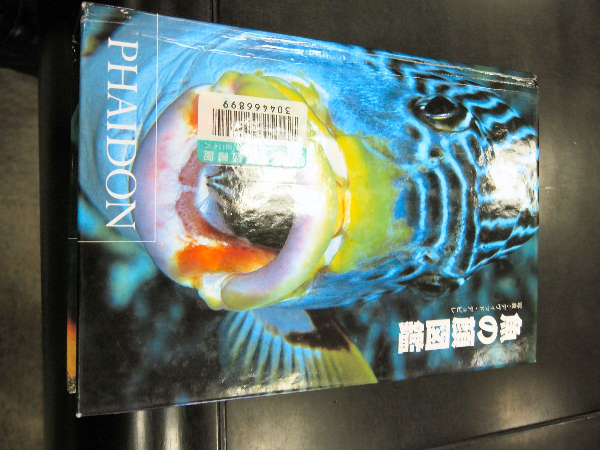 魚の名前がわからない Shinsuke Com